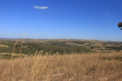 IMG_9564.JPG