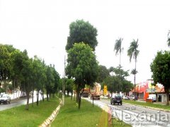 chegada_cidade_03.jpg