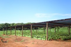 escola_municipal_agricola_04.jpeg