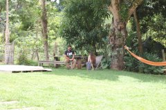 IMG_2732.jpg