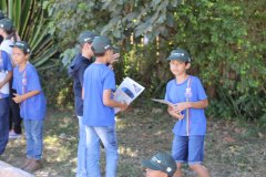 IMG_9233.jpg