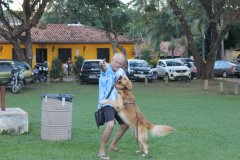 IMG_3067.jpg