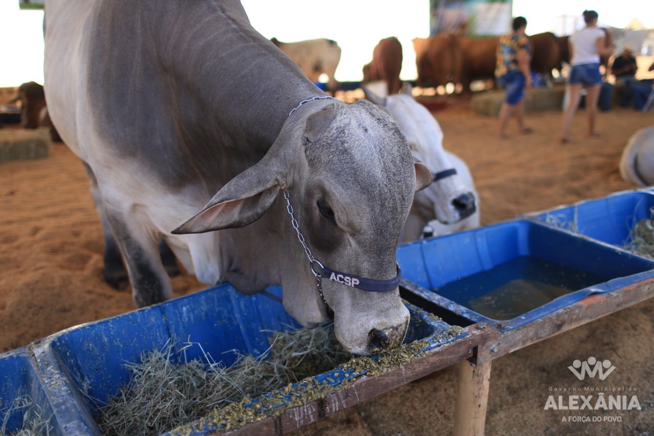 I ExpoAgro Alexânia