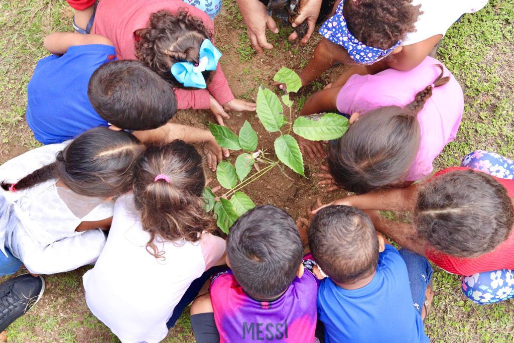 Meio Ambiente desenvolvendo ações de Educação  